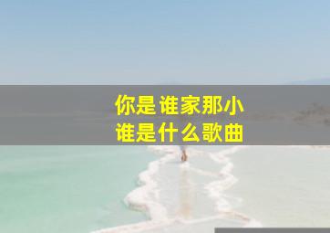 你是谁家那小谁是什么歌曲