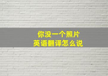 你没一个照片英语翻译怎么说