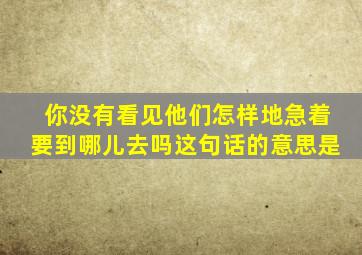 你没有看见他们怎样地急着要到哪儿去吗这句话的意思是