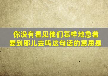 你没有看见他们怎样地急着要到那儿去吗这句话的意思是