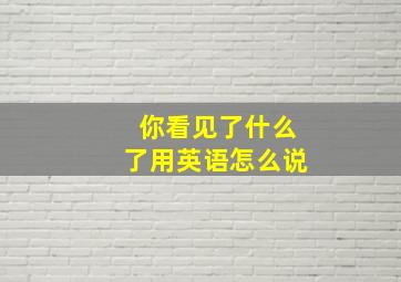 你看见了什么了用英语怎么说