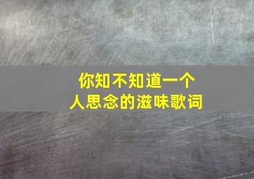 你知不知道一个人思念的滋味歌词