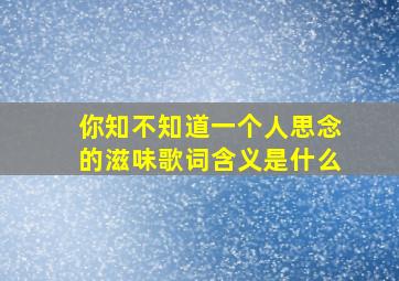 你知不知道一个人思念的滋味歌词含义是什么