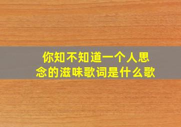 你知不知道一个人思念的滋味歌词是什么歌