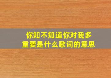 你知不知道你对我多重要是什么歌词的意思