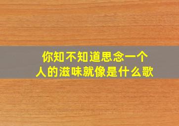 你知不知道思念一个人的滋味就像是什么歌