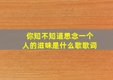 你知不知道思念一个人的滋味是什么歌歌词