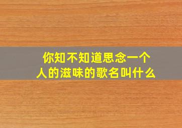 你知不知道思念一个人的滋味的歌名叫什么