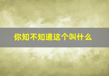 你知不知道这个叫什么