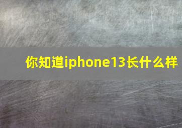 你知道iphone13长什么样