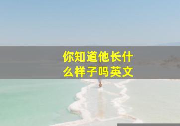 你知道他长什么样子吗英文