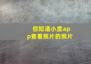 你知道小度app查看照片的照片