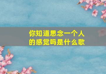 你知道思念一个人的感觉吗是什么歌