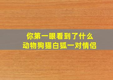 你第一眼看到了什么动物狗猫白狐一对情侣