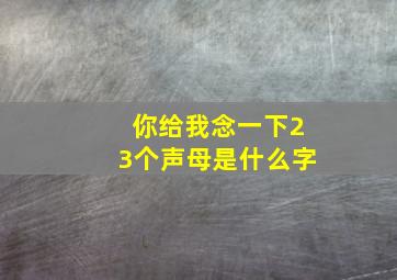 你给我念一下23个声母是什么字