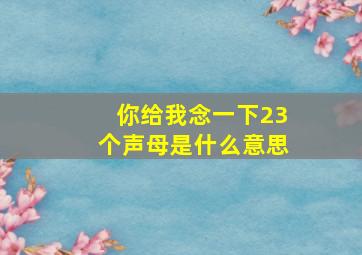 你给我念一下23个声母是什么意思