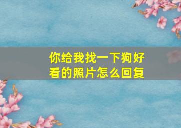 你给我找一下狗好看的照片怎么回复