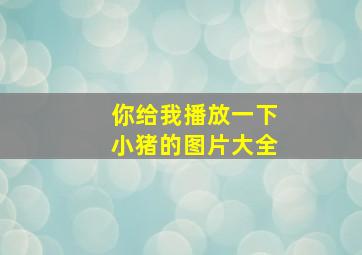 你给我播放一下小猪的图片大全