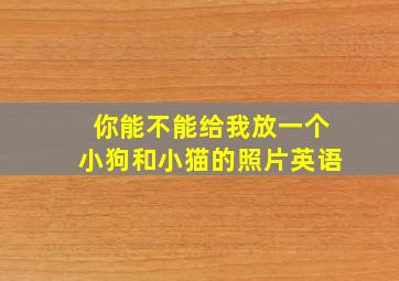 你能不能给我放一个小狗和小猫的照片英语