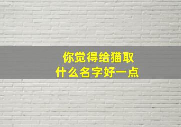 你觉得给猫取什么名字好一点