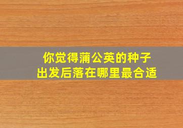 你觉得蒲公英的种子出发后落在哪里最合适