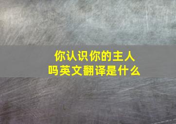 你认识你的主人吗英文翻译是什么