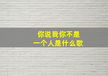 你说我你不是一个人是什么歌