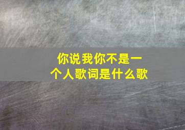 你说我你不是一个人歌词是什么歌