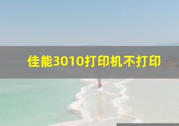 佳能3010打印机不打印