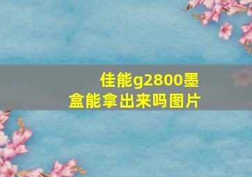 佳能g2800墨盒能拿出来吗图片