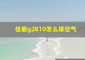 佳能g2810怎么排空气