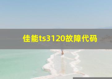 佳能ts3120故障代码