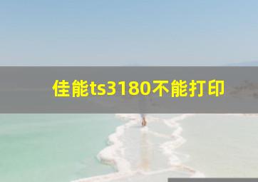 佳能ts3180不能打印