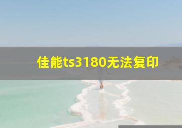 佳能ts3180无法复印