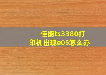 佳能ts3380打印机出现e05怎么办