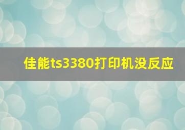 佳能ts3380打印机没反应