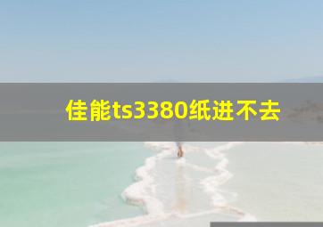 佳能ts3380纸进不去