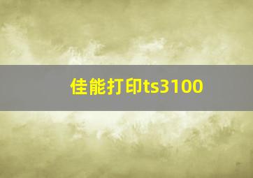 佳能打印ts3100