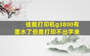 佳能打印机g3800有墨水了但是打印不出字来