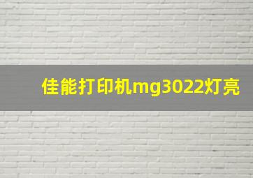 佳能打印机mg3022灯亮