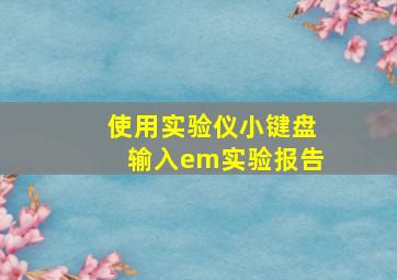 使用实验仪小键盘输入em实验报告