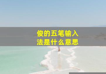 俊的五笔输入法是什么意思