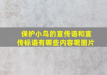 保护小鸟的宣传语和宣传标语有哪些内容呢图片