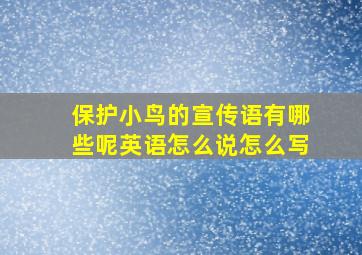 保护小鸟的宣传语有哪些呢英语怎么说怎么写