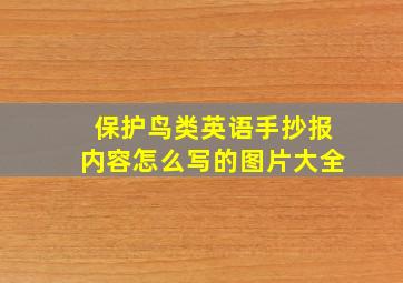 保护鸟类英语手抄报内容怎么写的图片大全