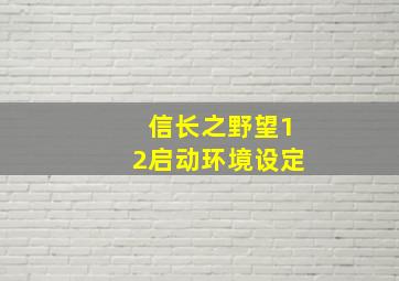 信长之野望12启动环境设定