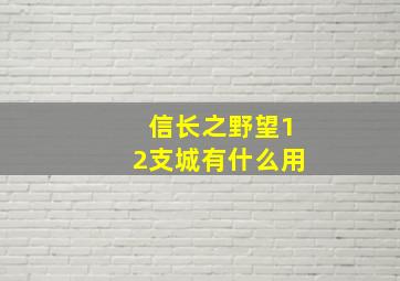 信长之野望12支城有什么用