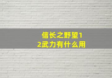 信长之野望12武力有什么用