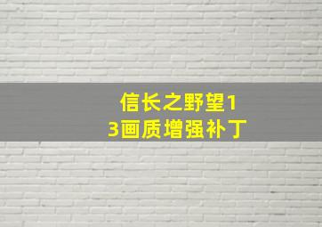 信长之野望13画质增强补丁