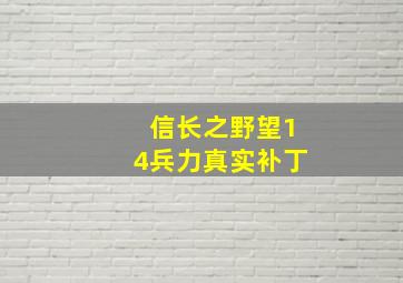 信长之野望14兵力真实补丁